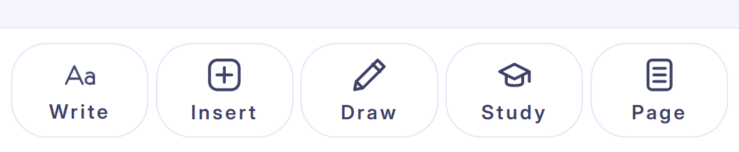 The bottom notebook editor toolbar in FocusPace showing the Write, Insert, Draw, Study, and Page panels.